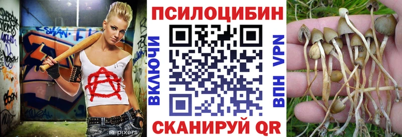 Галлюциногенные грибы MAGIC MUSHROOMS  Западная Двина 