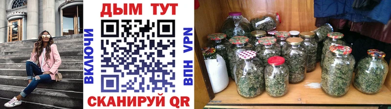 закладки  Западная Двина  Каннабис MAZAR 